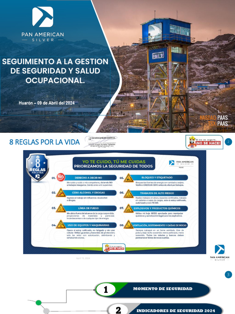 Informe de Seguridad y Salud 2024 | PDF