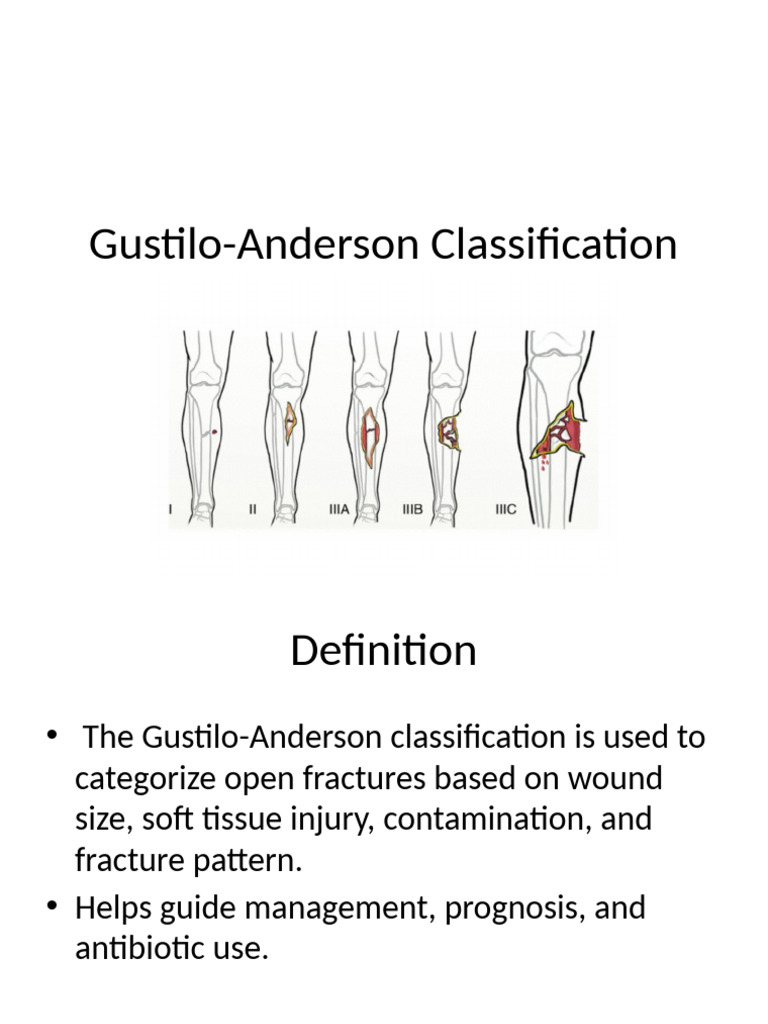 Gustilo-Anderson Fracture Classification | PDF