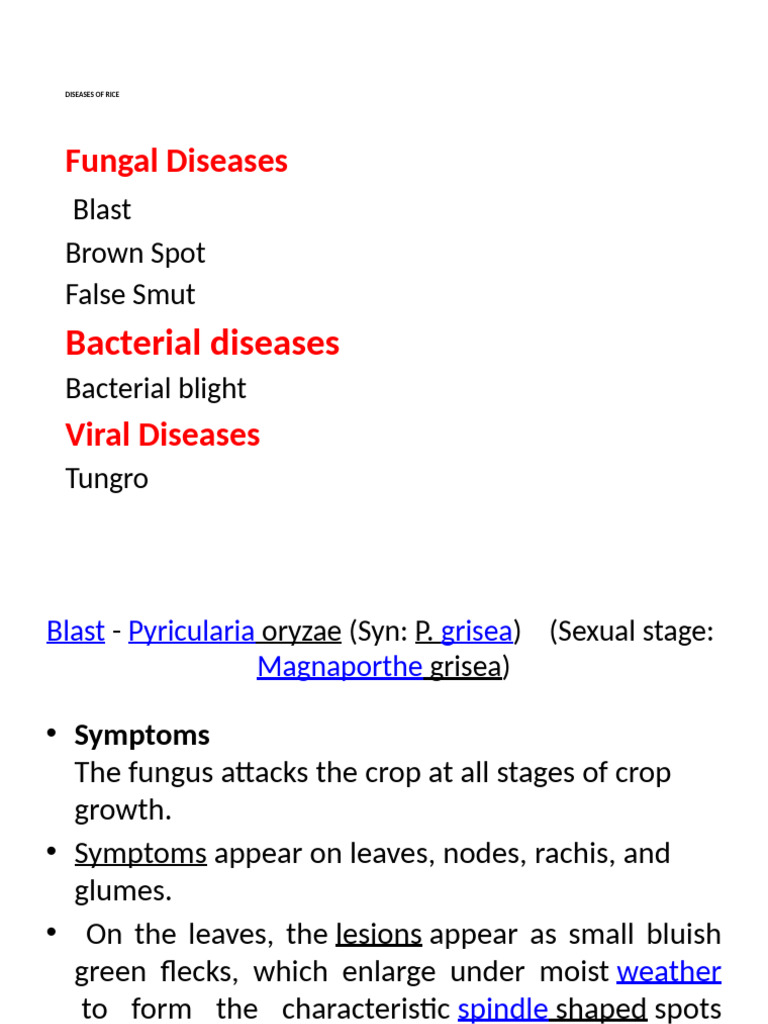 Rice Diseases: Fungal, Bacterial, Viral | PDF | Virus | Biology