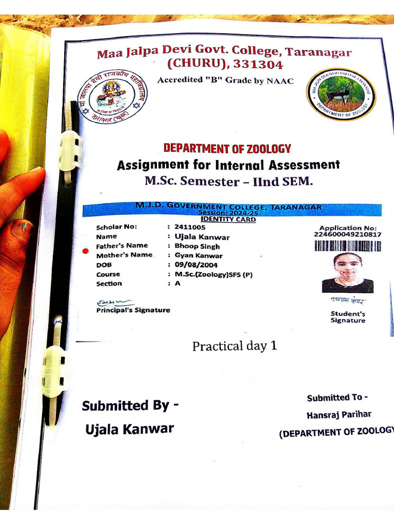 Practical Day 1 | PDF