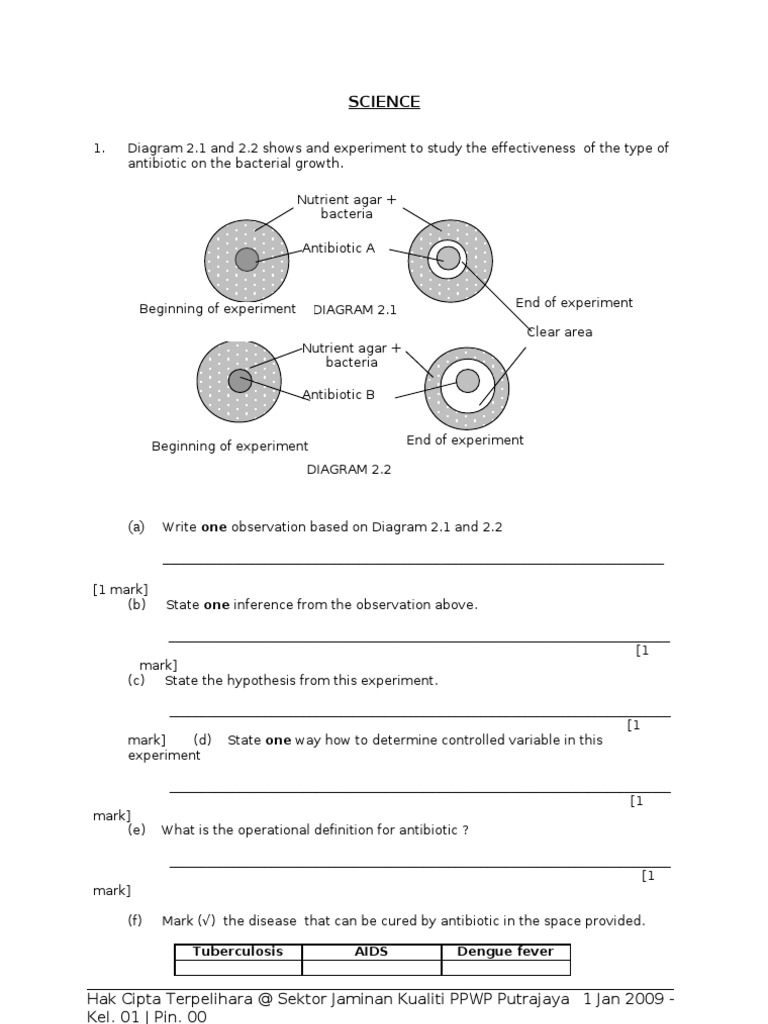 Homework 2 | PDF