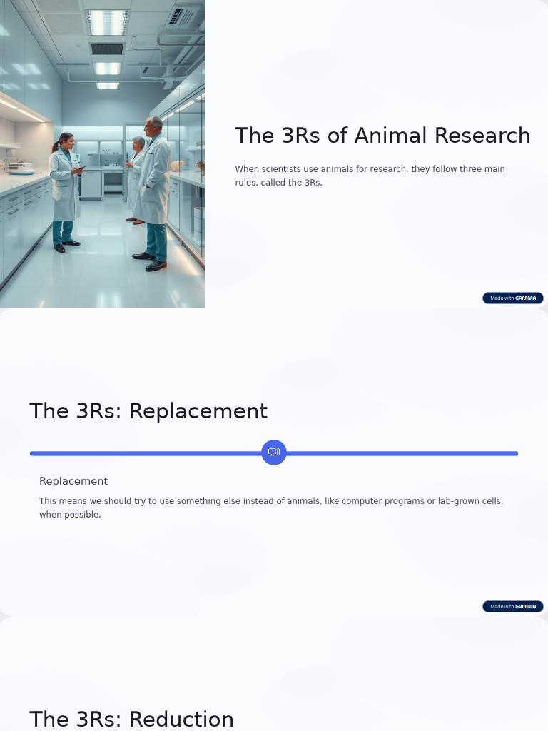The 3Rs of Animal Research | PDF