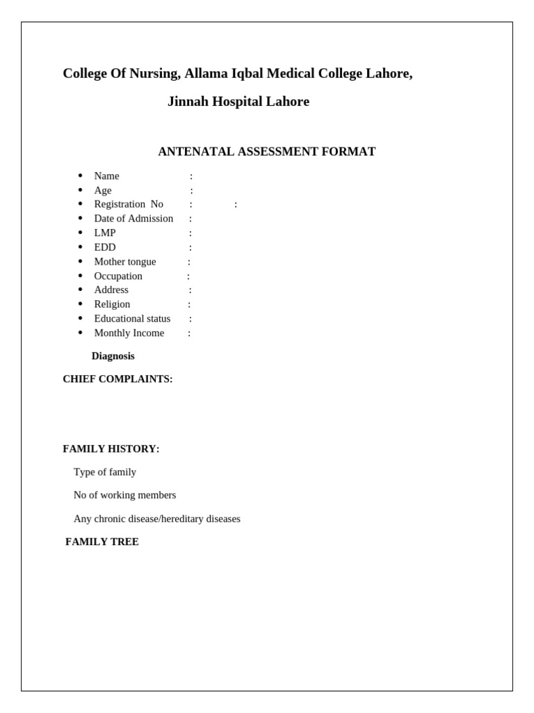 Antenatal Assessment Format Template | PDF
