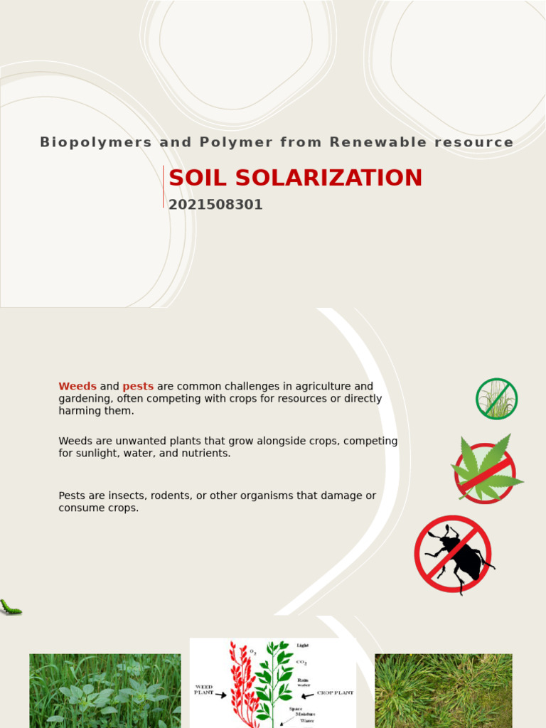 Soil Solarization | PDF | Mulch | Weed