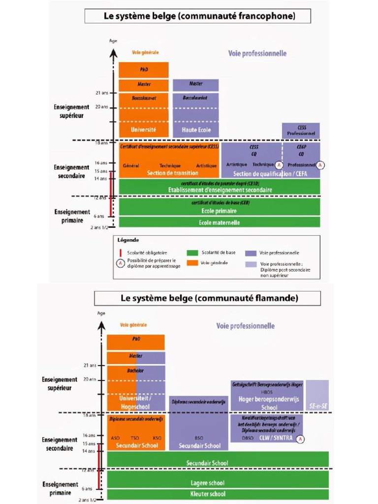 Sch ma Du Syst me Scolaire Belge PDF