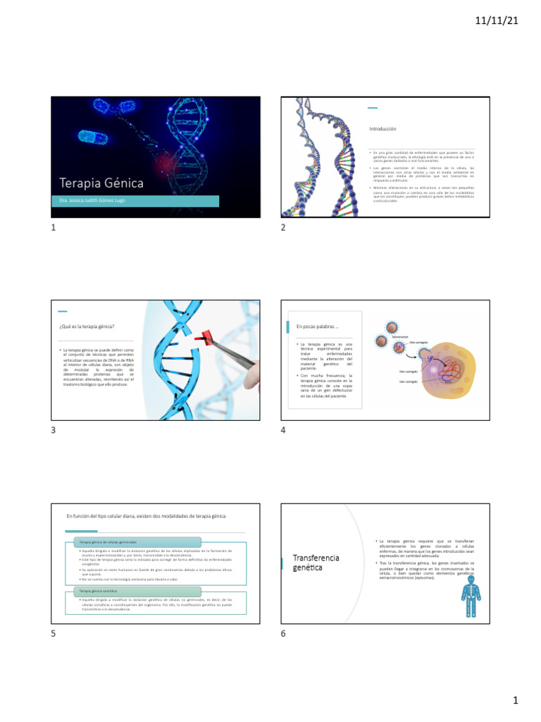 Terapia Génica: Técnicas y Aplicaciones | PDF | Terapia de genes ...
