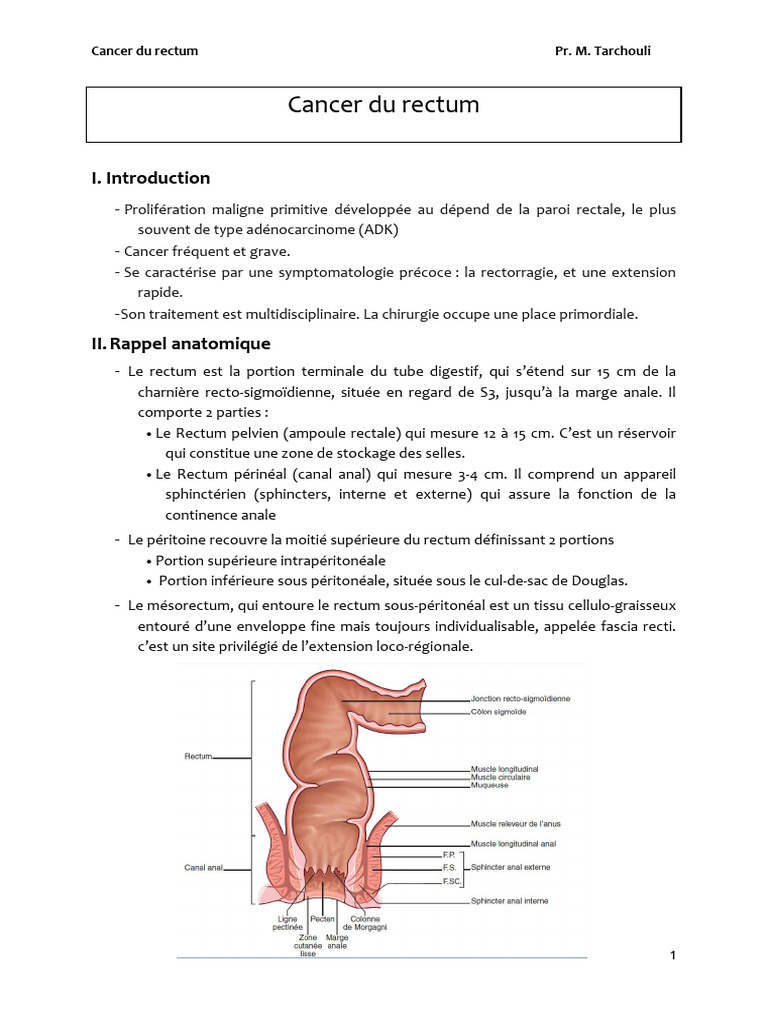Cancer du rectum : diagnostic et traitement | PDF | Rectum | Cancer du ...