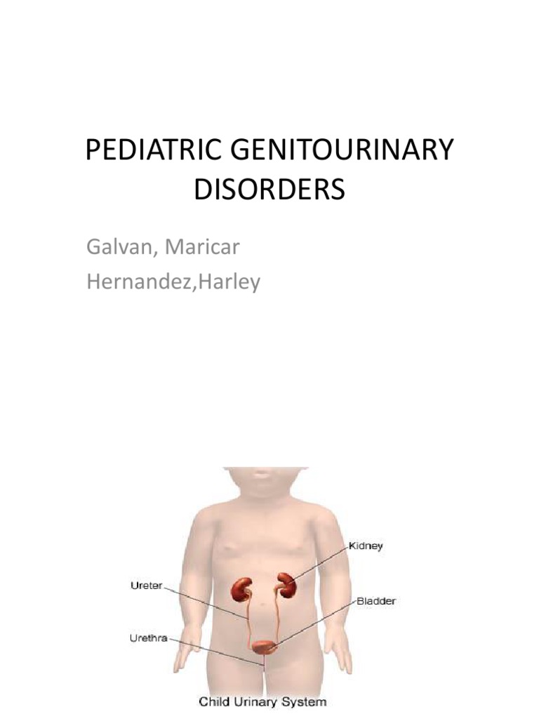 Pediatric Genitourinary Disorders Overview | PDF | Urinary Tract ...