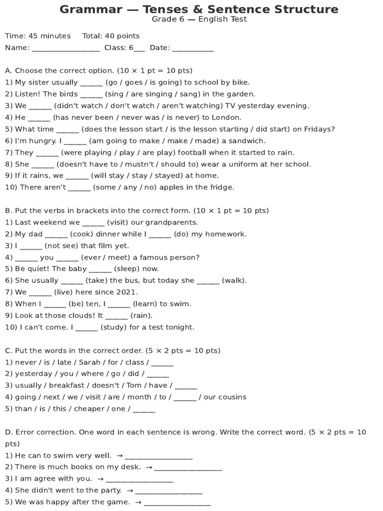 Grade 6 English Grammar Test | PDF