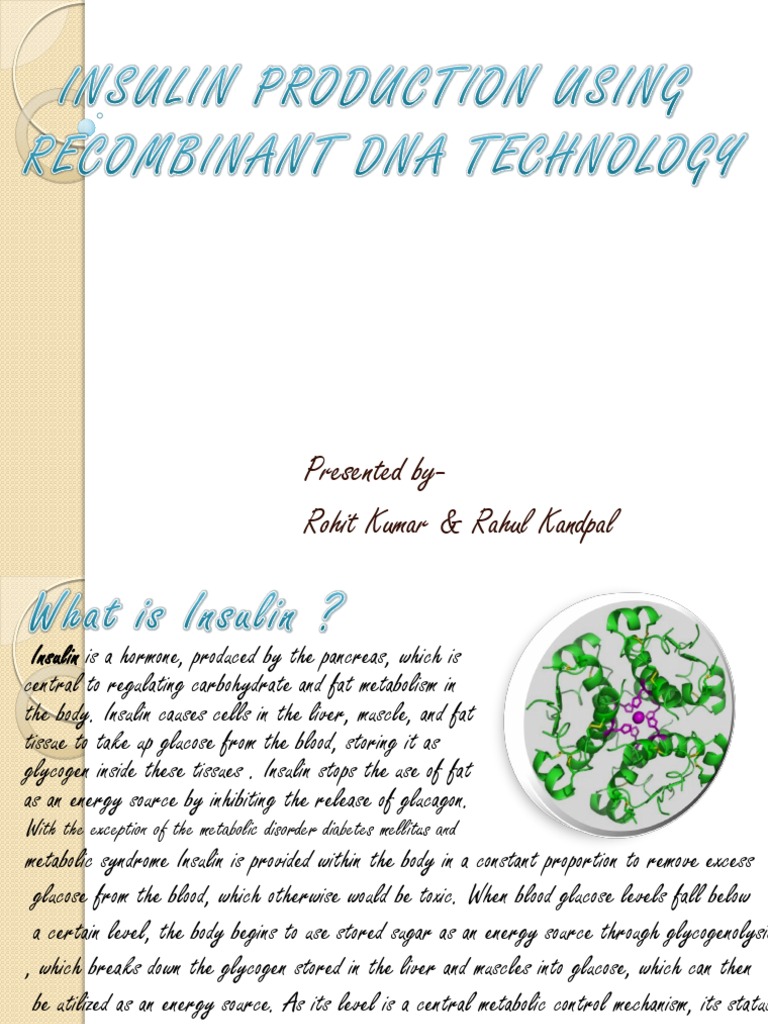 Insulin Production via Recombinant DNA | PDF