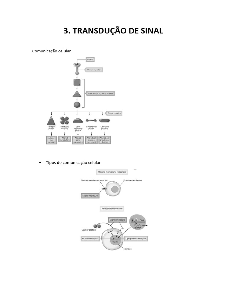 Transdução de Sinal na Comunicação Celular | PDF | Receptor (Bioquímica ...