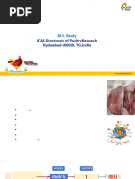 BioChek ELISA Results Interpretation Guide | PDF