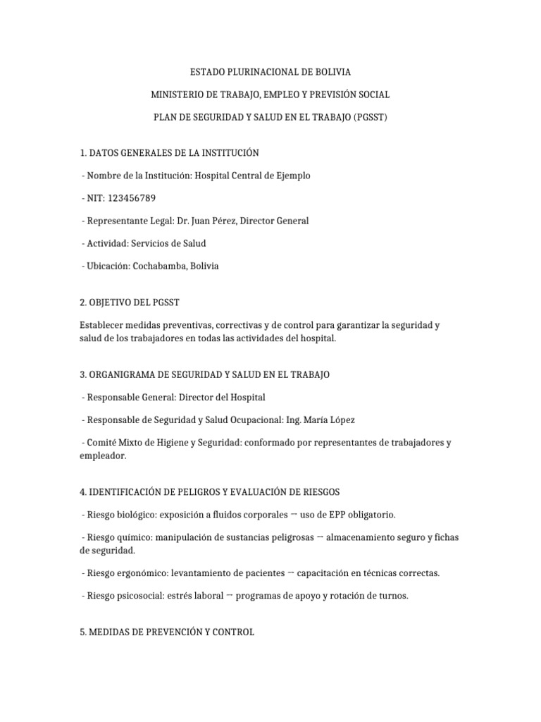Plan de Seguridad y Salud Laboral 2025 | PDF | Seguridad y salud ...