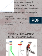 Citologia - Organização Estrutural Das Células