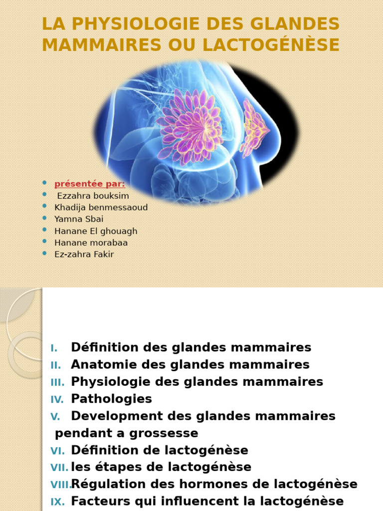 Physiologie et lactogénèse des seins | PDF | Sein | Allaitement