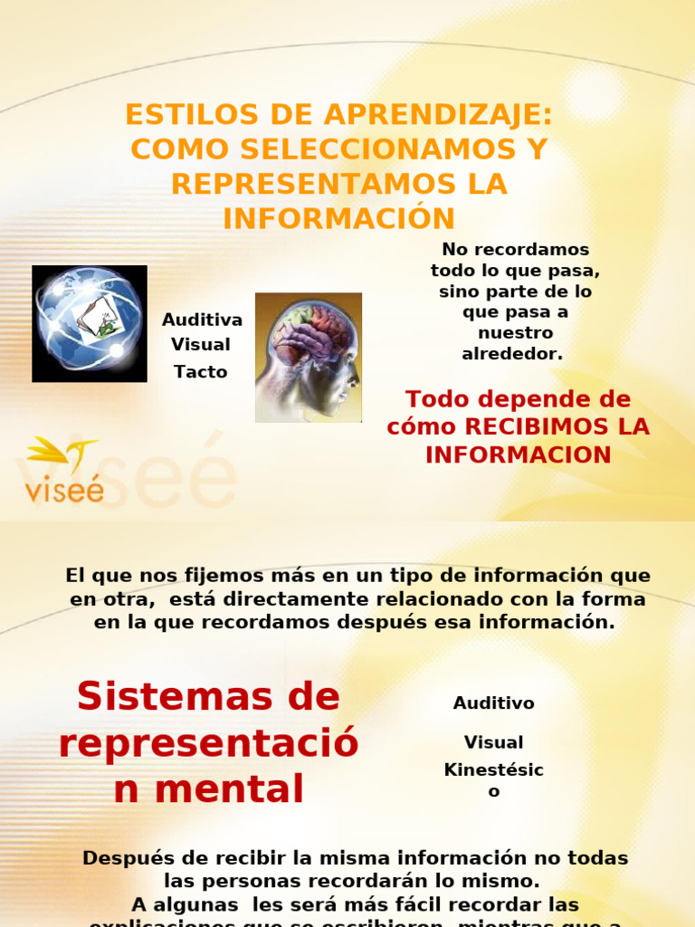 Estilos de Aprendizaje: Visual, Auditivo y Kinestésico | PDF ...