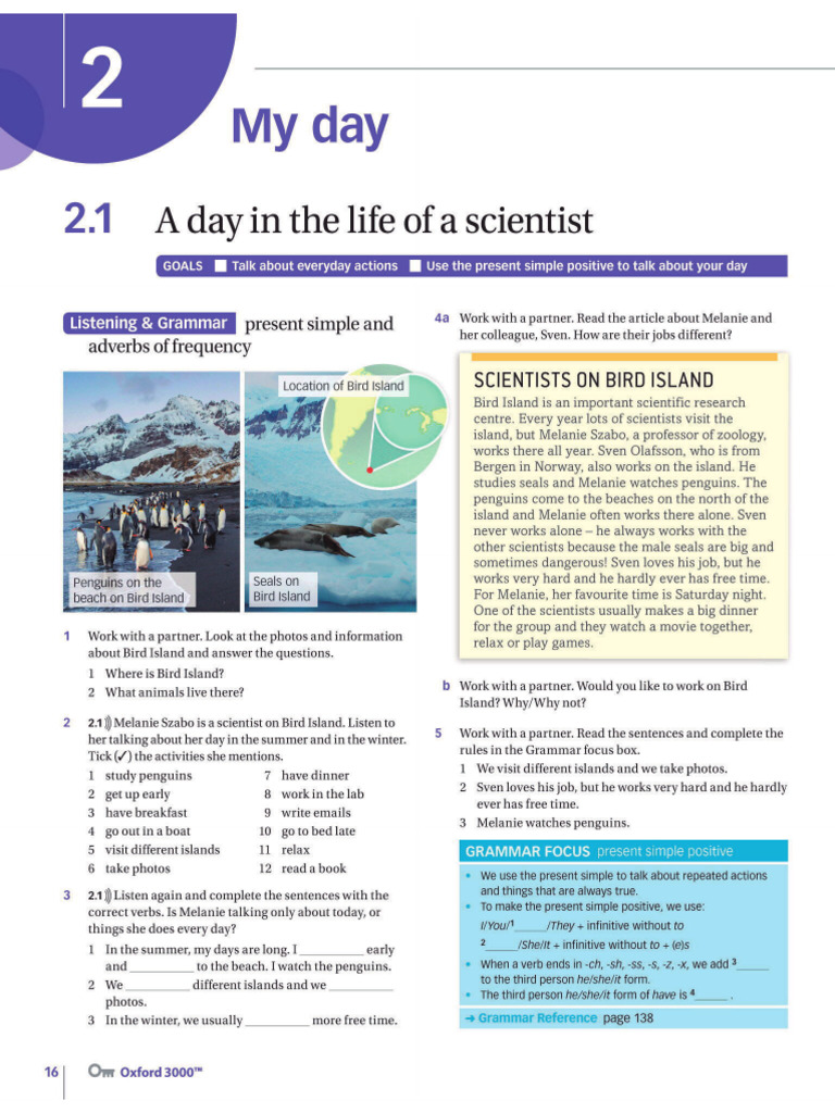 Unit 2 Pages 16 and 17 My Daily Routine | PDF