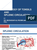 Histology of Tonsil and Splenic Circulation by Dr. Roomi