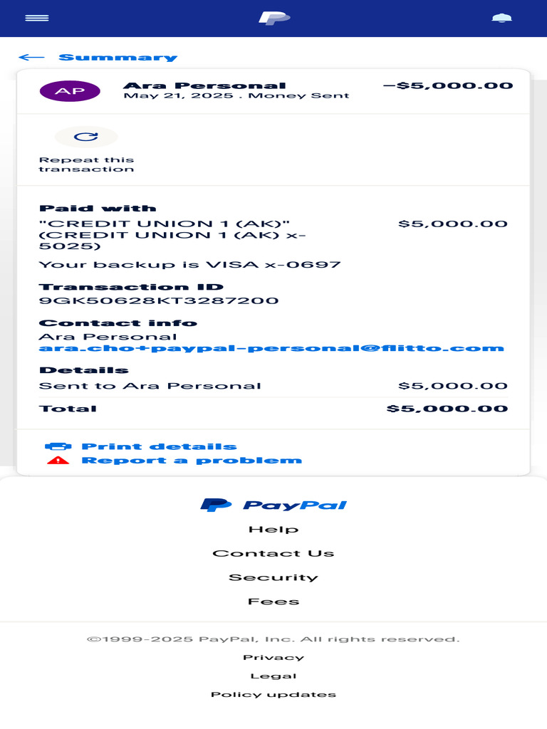 PayPal Transaction Details | PDF