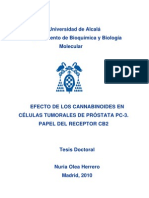 CANNABINOIDES Y CÁNCER DE PRÓSTATA (tesis doctoral de Nuria Olea Herrero)