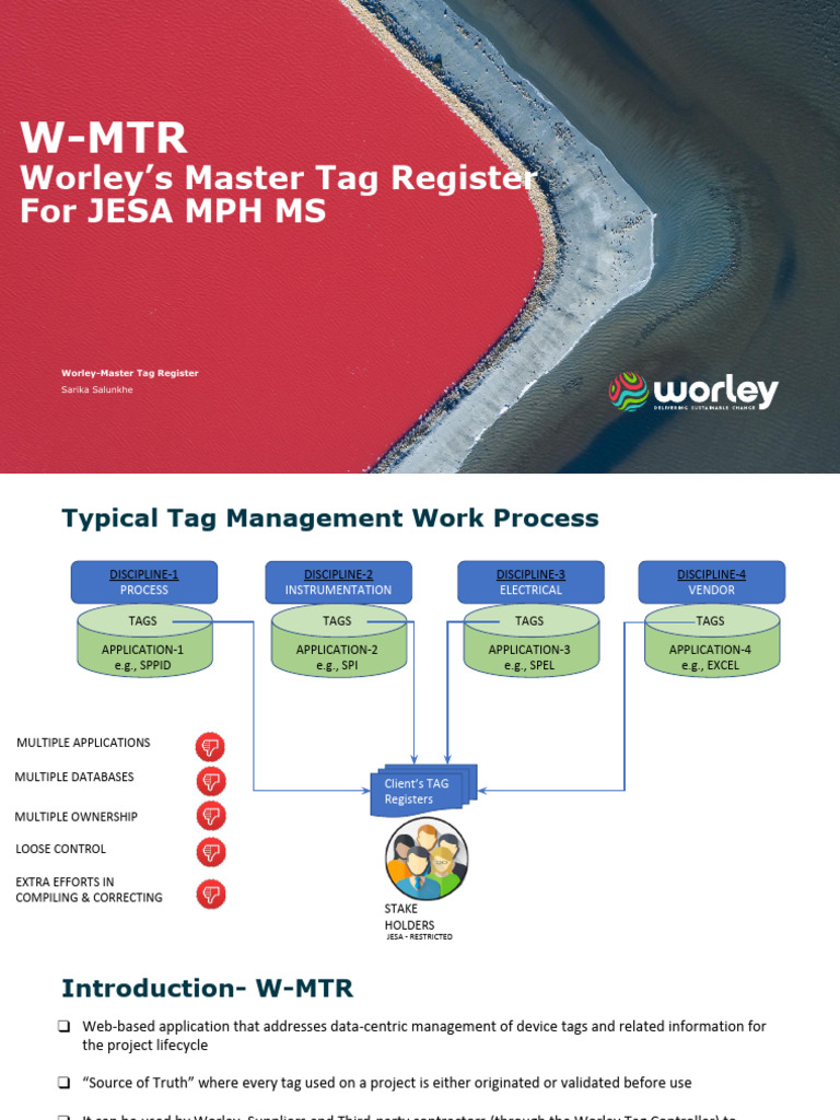 Worley Master Tag Register Overview | PDF | Databases | Software