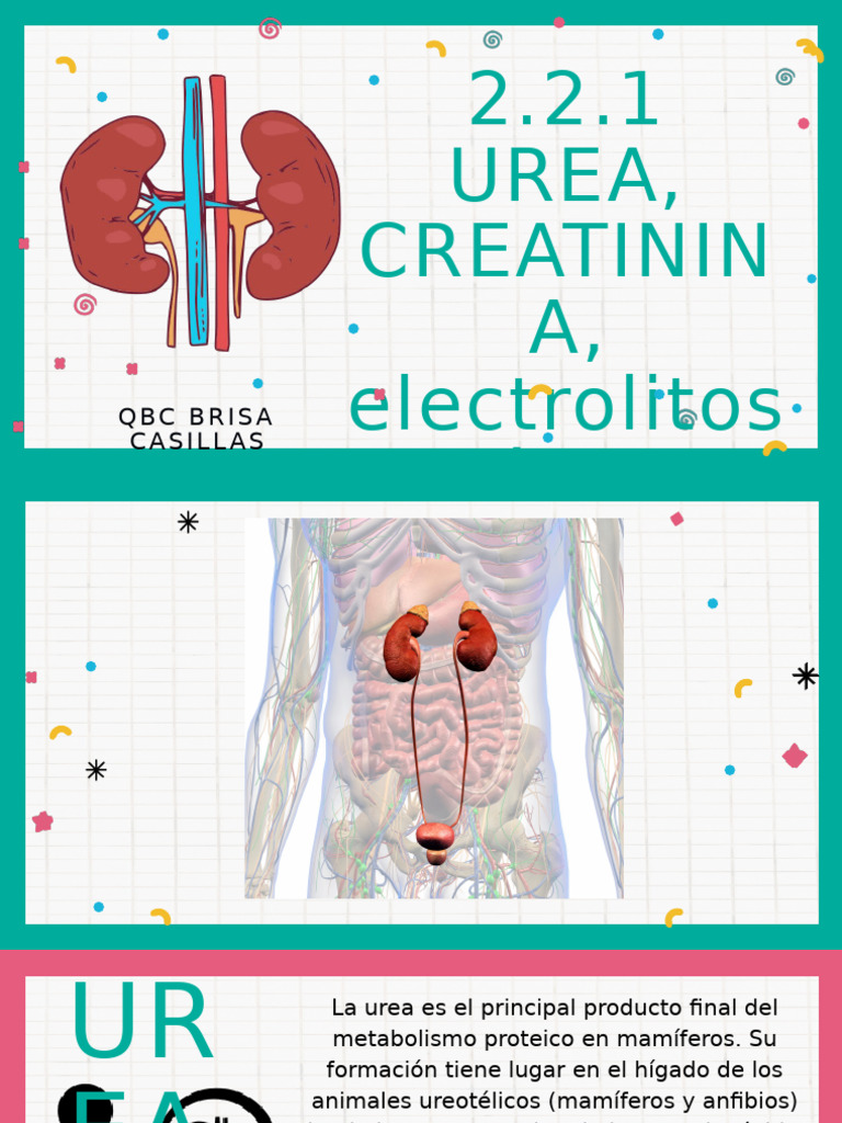 2-2-creatinina-urea-acido-urico-electrolitos-pdf-ri-n
