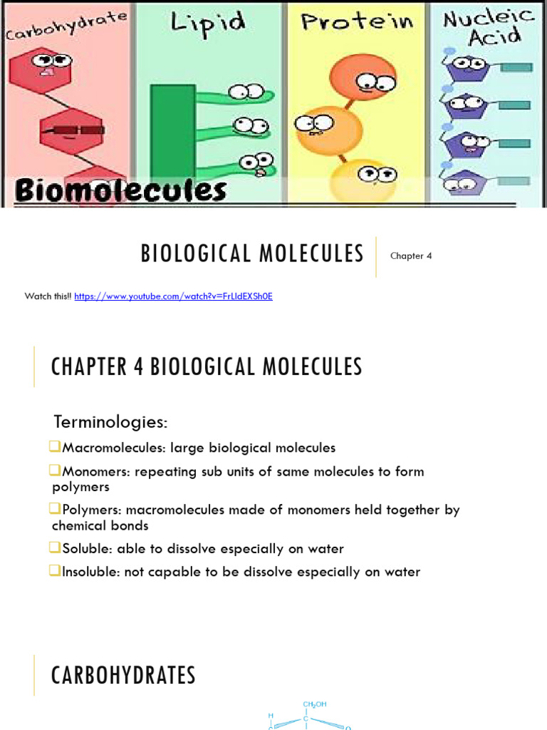 Understanding Biological Molecules | PDF | Carbohydrates | Polysaccharide