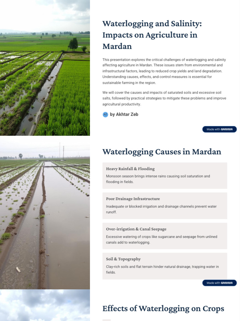 Waterlogging & Salinity in Mardan Agriculture | PDF | Soil | Agriculture