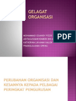 Gelagat Organisasi