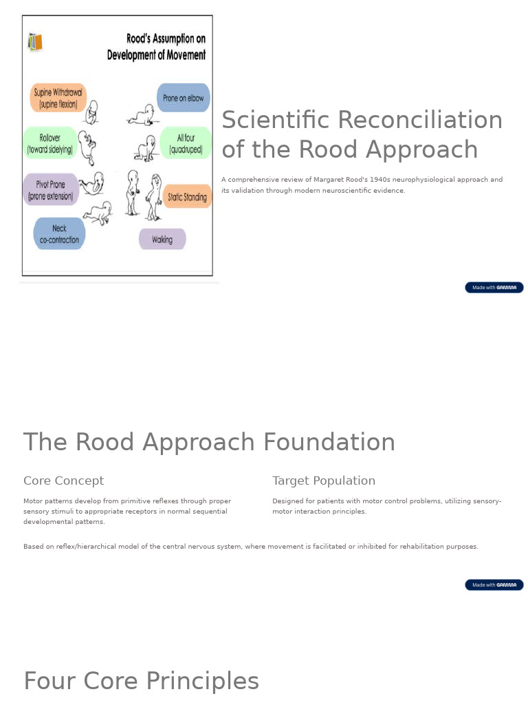 Rood Approach: Modern Neurophysiological Insights | PDF | Skeletal ...