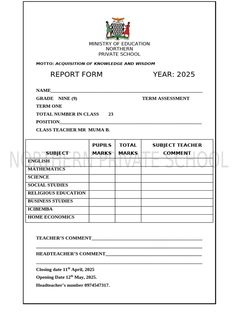 2025 Term Assessment Report for Grade 9 | PDF