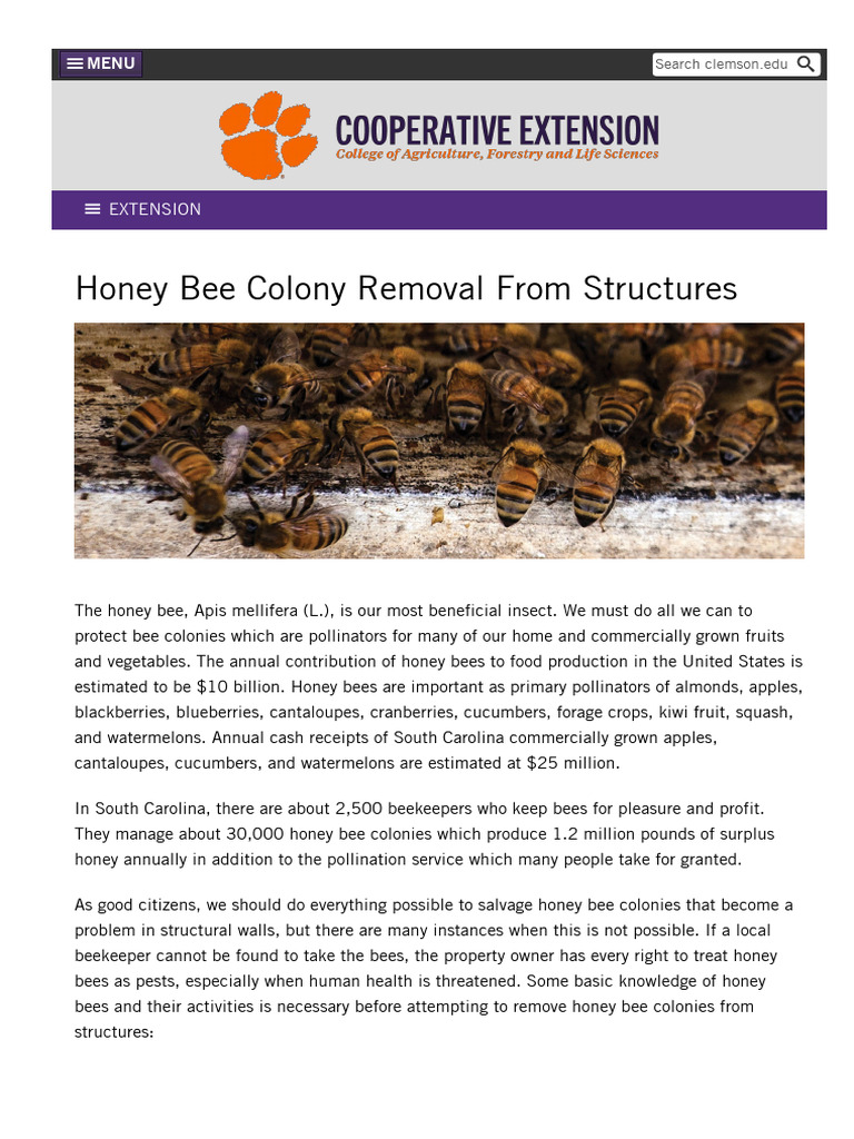 WWW Clemson Edu Extension Beekeepers Factsheets Publications Honey Bee ...