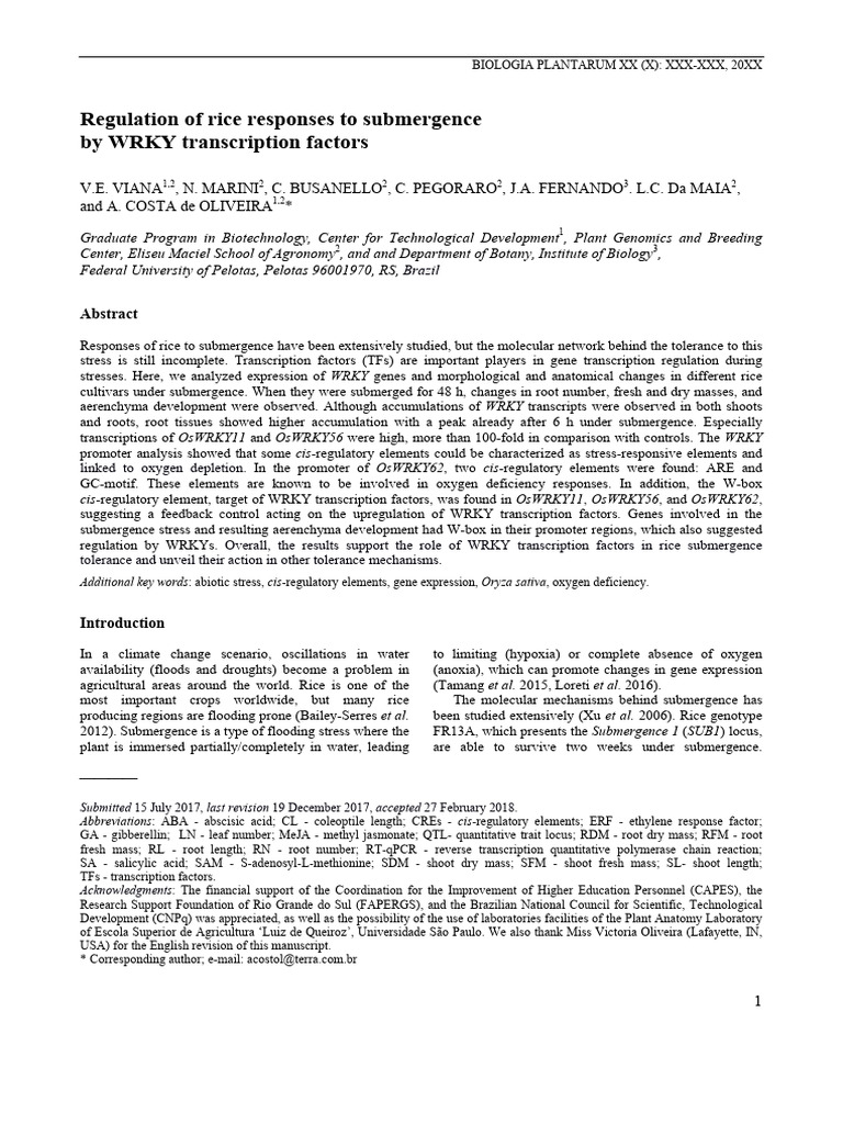 WRKY Factors in Rice Submergence Tolerance | PDF | Promoter (Genetics ...