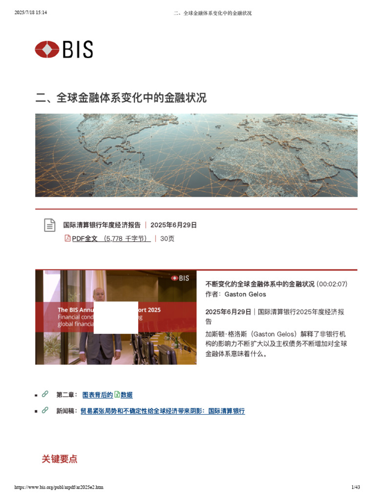 Bis 2025年度报告二、全球金融体系变化中的金融状况| PDF