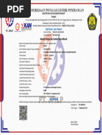 Mariupol porno video