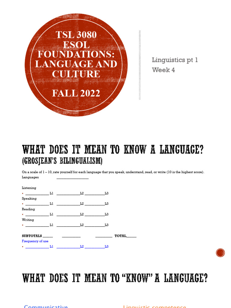Language Foundations and Characteristics | PDF | Semantics | Grammar