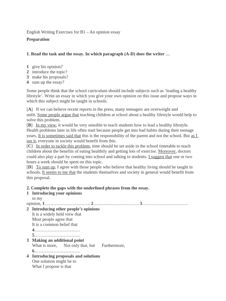 B1 Opinion Essay Writing Guide | PDF