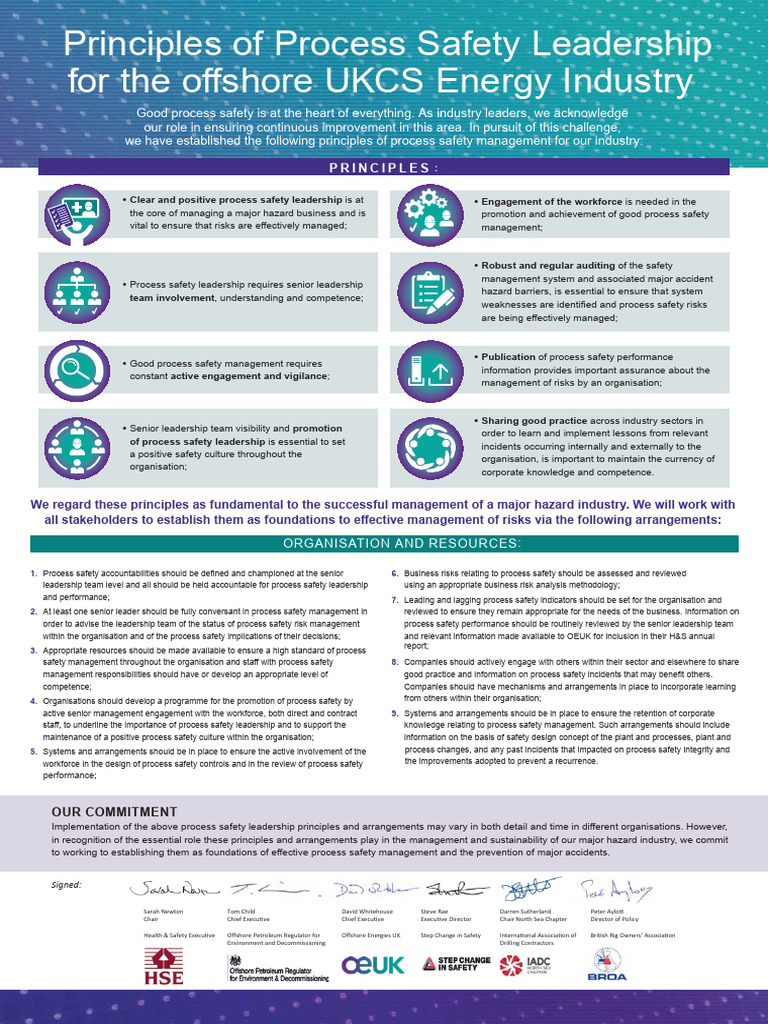 Principles of Process Safety Leadership | PDF | Safety | Leadership