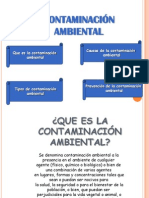 Contaminacion Ambiental