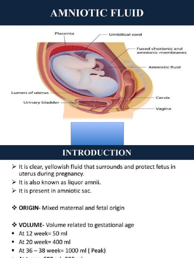 Amniotic Fluid | PDF
