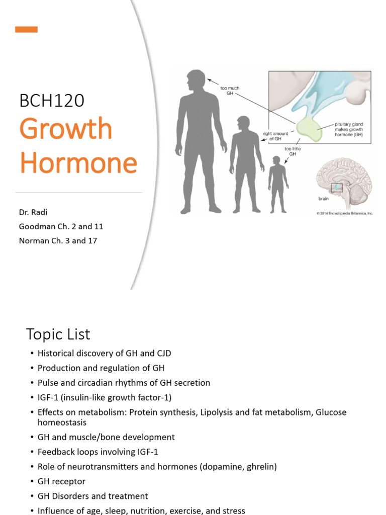 Growth Hormone: Functions and Disorders | PDF | Growth Hormone ...