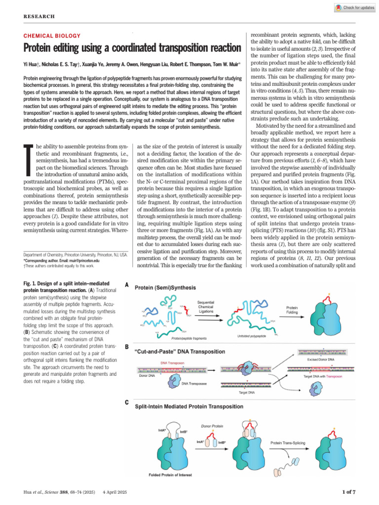 Protein Editing via Transposition Reaction | PDF | Proteins | Nutrients