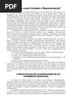 O Mundo Como Vontade e Representacao