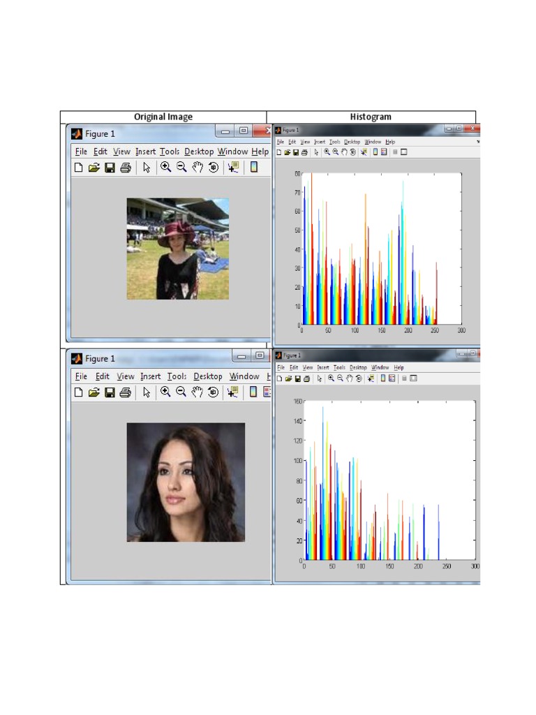 Images and Histograms | PDF