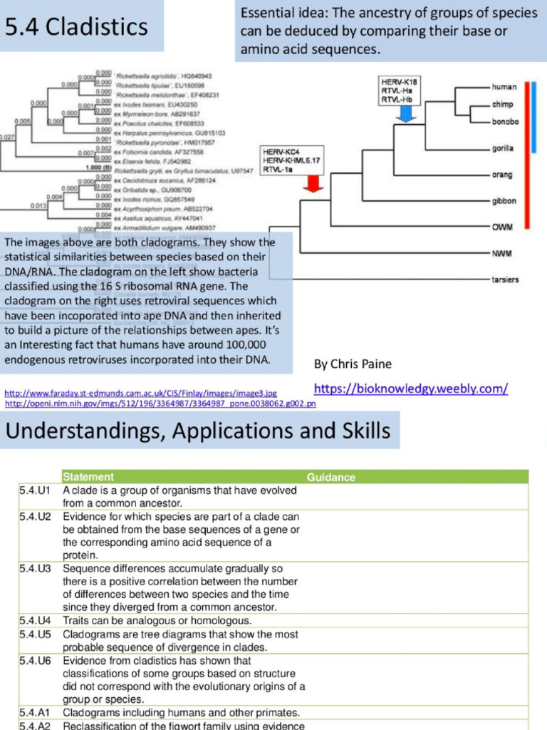 5.4. Cladistics | PDF