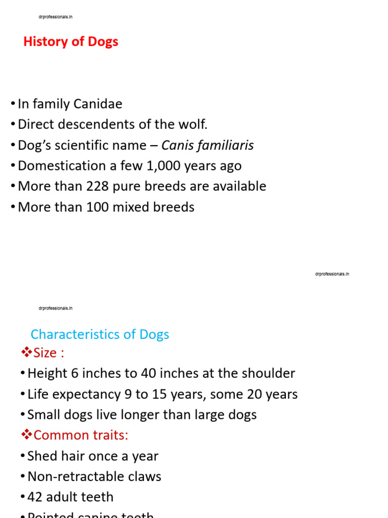 Overview of Dog Breeds and Traits | PDF | Dogs | Dog Breeds