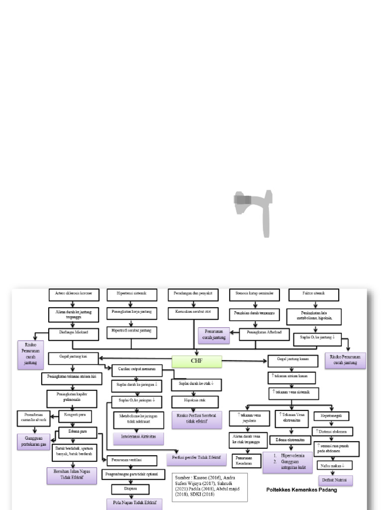 Pathway CHF | PDF