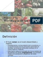 Morfología de los Frutos