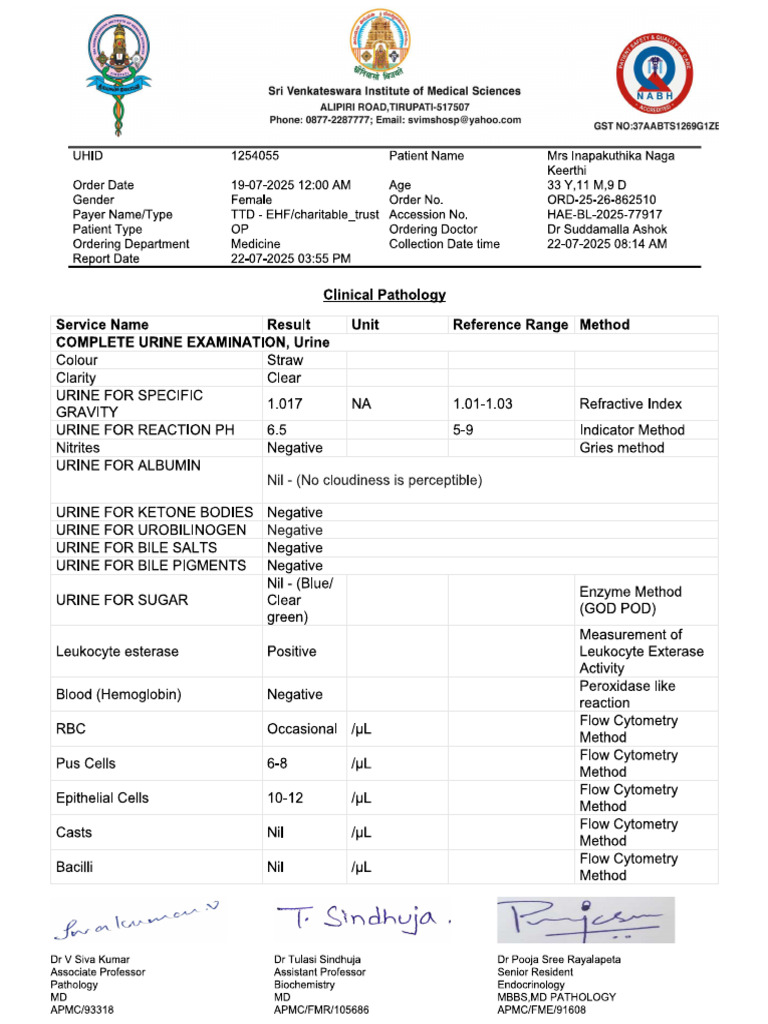 Chandu | PDF