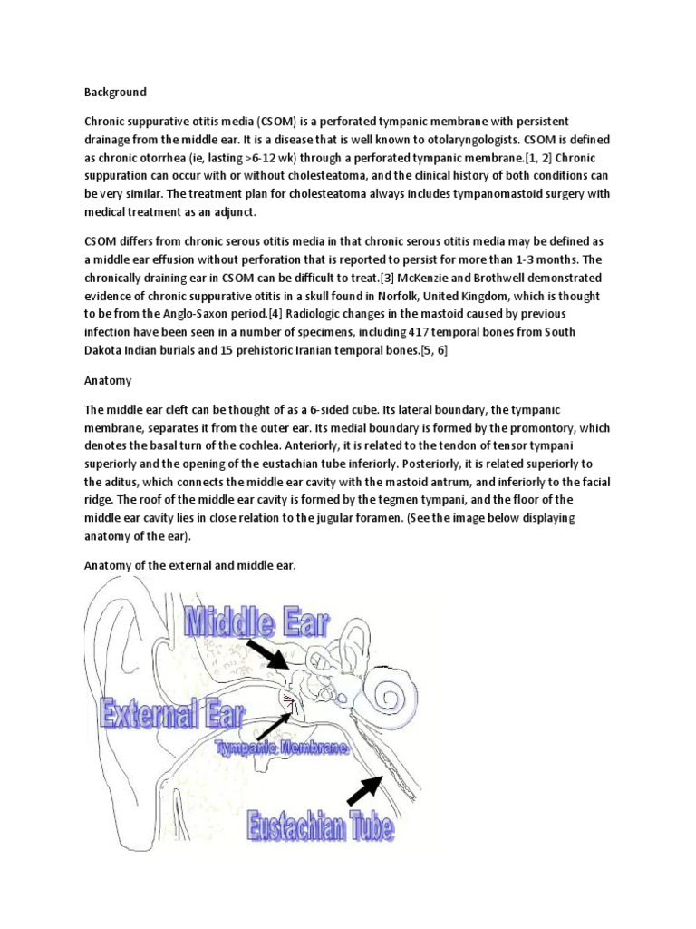Understanding Chronic Suppurative Otitis Media | PDF | Ear | Auditory ...